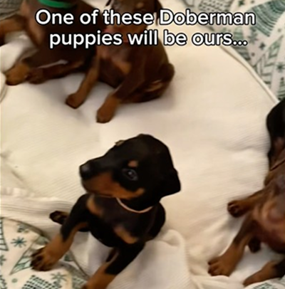 Nyx is about to get a little brother