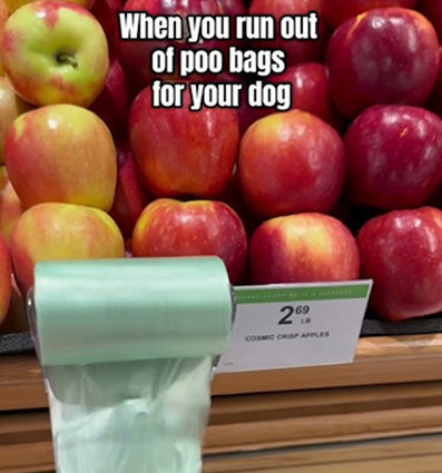 When you run out of poo bags for your dog