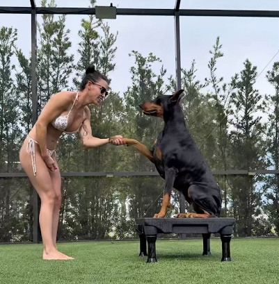 Training with my Doberman