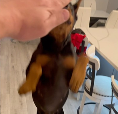 Every night we do this routine!