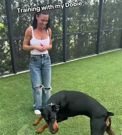 Today Training with my dobie