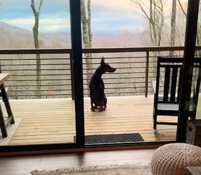 Cabin in Blue Ridge, GA