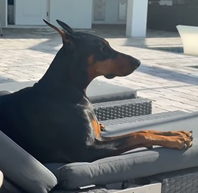 When your TikTok is going viral!