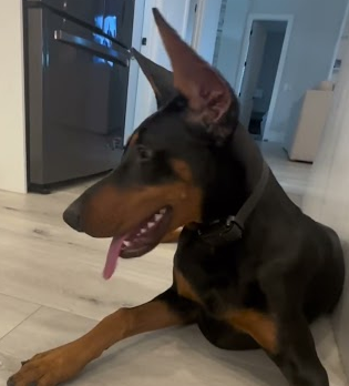 Social media influencers