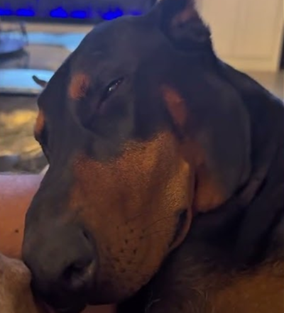 She’s snoozing 💤