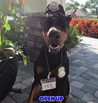 Pet ICE shows up to my house