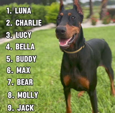 Top dogs names of 2025!