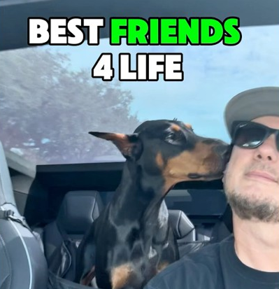 Men’s best friend