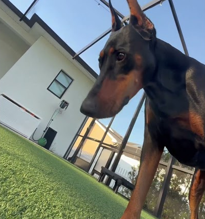 Living her best life Nyx