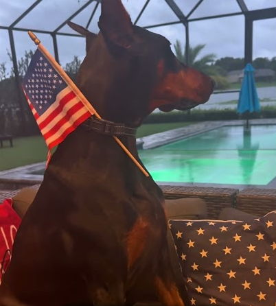 Memorial Day 2025 🇺🇸