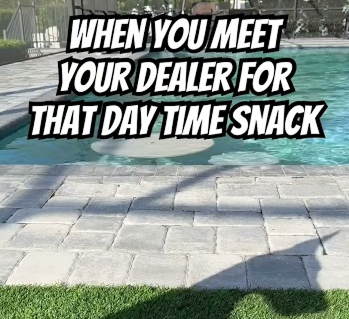 Snacks from the dealer!