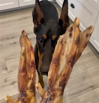 Duck feet for dogs