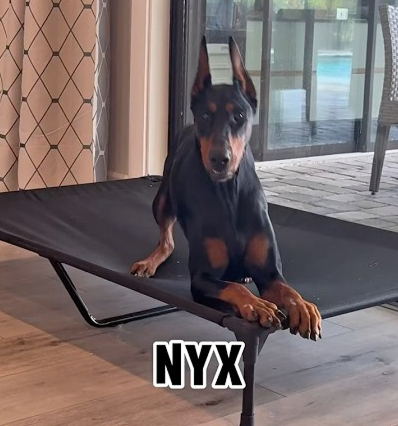 The excitement of going outside