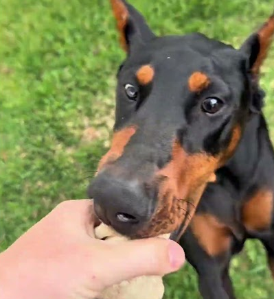 Don’t try this at home ⚠️