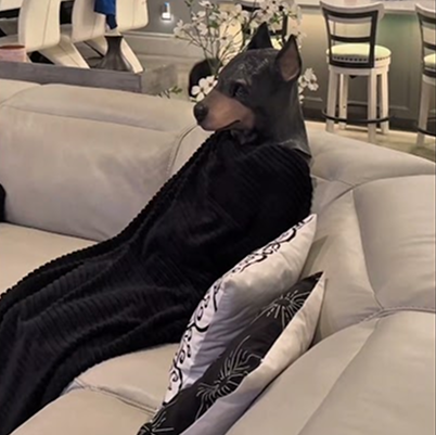 Putting on a Doberman mask to see my dogs reaction