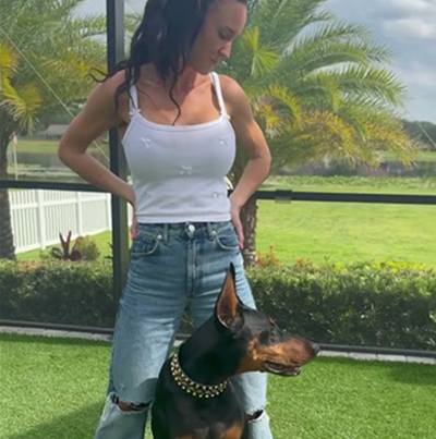 #dobermanpinschers #dogshorts