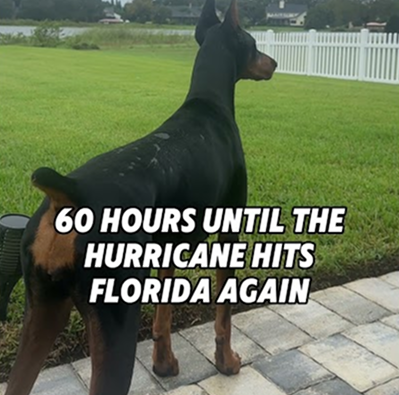 Wish us luck 😢🌪️🌀