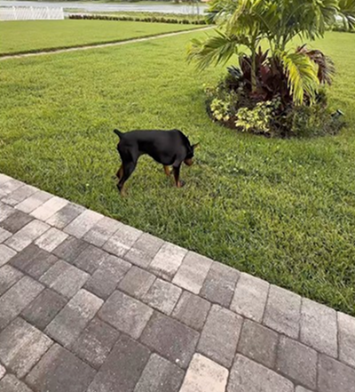 My girl was so brave 😂