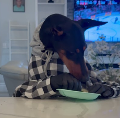 Attitude when she runs out of food