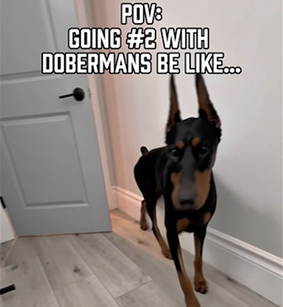 ￼ Going number two be like