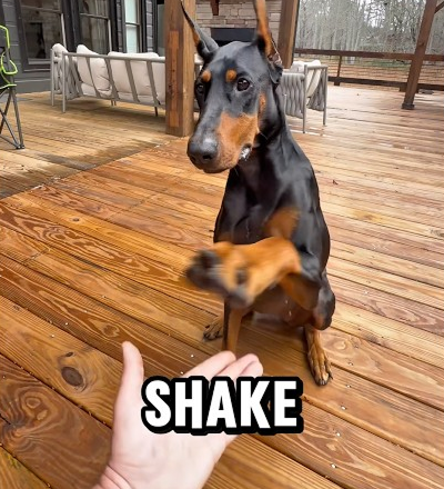 Teach Me How to Dougie