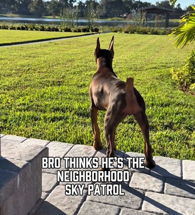 I feel safe in my backyard