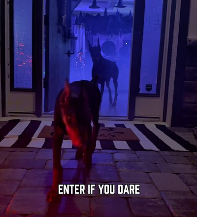Dare to enter?