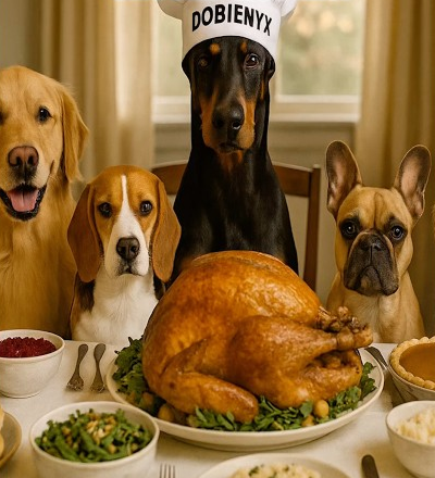 10 Thanksgiving foods your dogs should not eat! 🦃