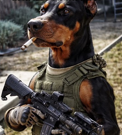 She’s ready to go to war