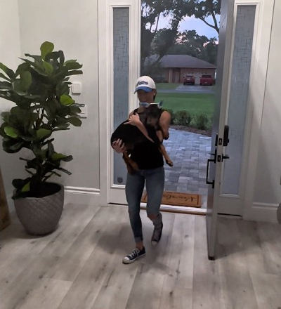 Why This Protection Dog Is NO Joke