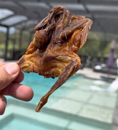 Quail bird dog treat