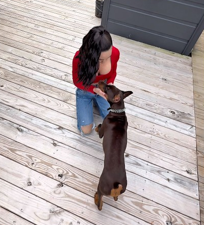 Nyx is always on alert