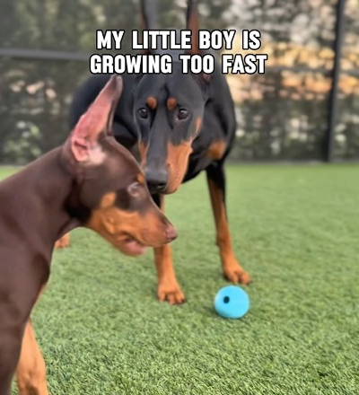 Nash is 6 months old today